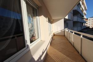 apartament torun