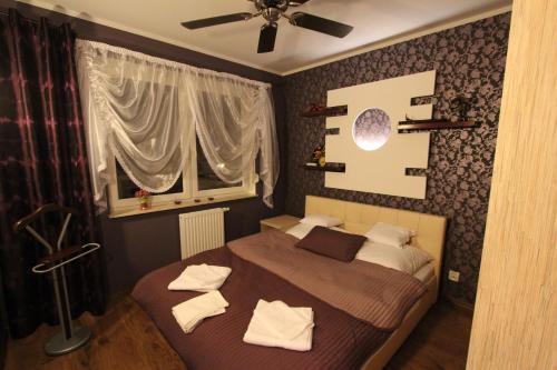 apartament torun