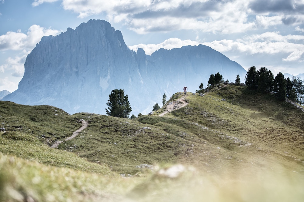 selva di val gardena
