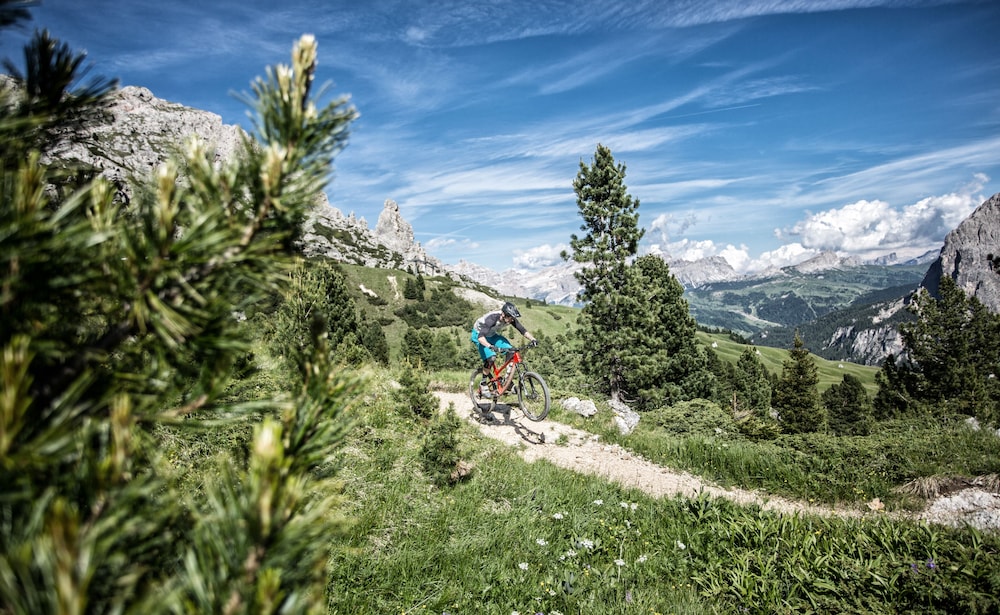 selva di val gardena