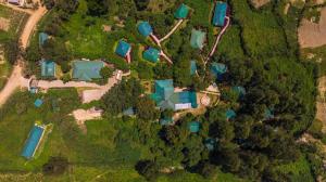 gorilla safari lodge