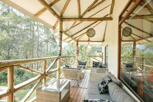 gorilla safari lodge