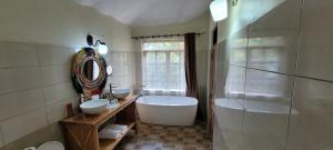 gorilla safari lodge