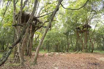 explorer by eco team dambana