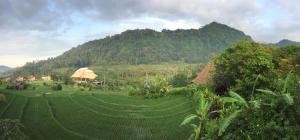 nirarta centre for living awareness