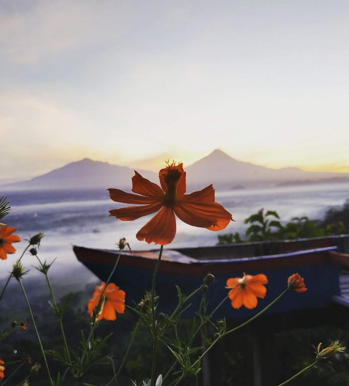 Genthong Homestay - Hostel,,1 star