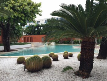 away las tortugas beachfront