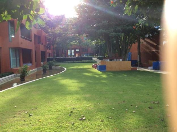 away las tortugas beachfront