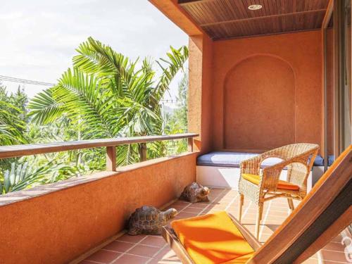 away las tortugas beachfront