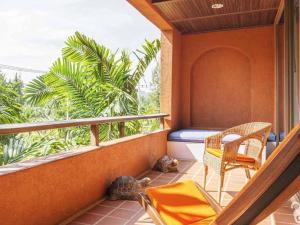 away las tortugas beachfront