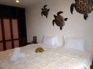 away las tortugas beachfront