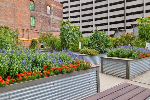 hotel indigo detroit downtown by ihg