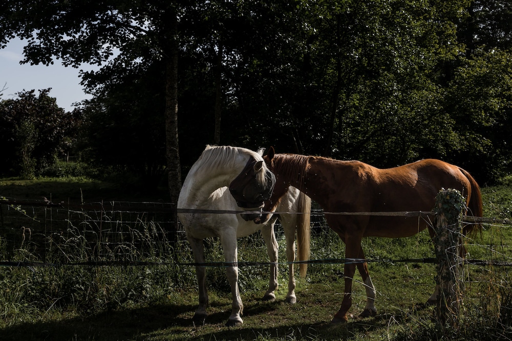 le moulin des forges chambres dhotes et roulottes