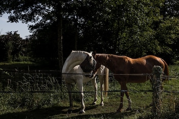le moulin des forges chambres dhotes et roulottes