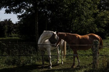 le moulin des forges chambres dhotes et roulottes
