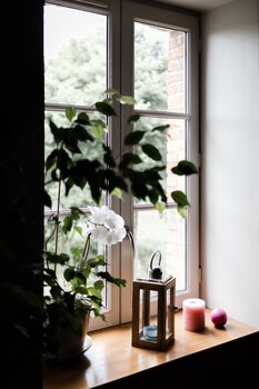 le moulin des forges chambres dhotes et roulottes