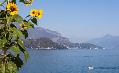 sosta sul lago