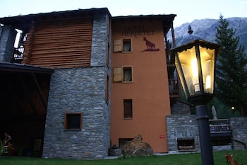 cogne