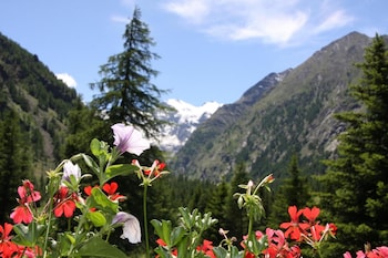cogne