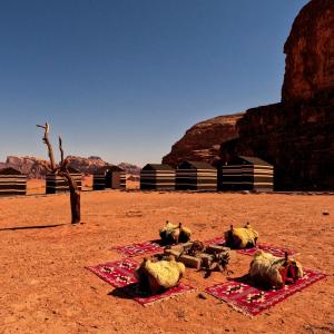 wadi rum desert camp