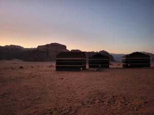 wadi rum desert camp