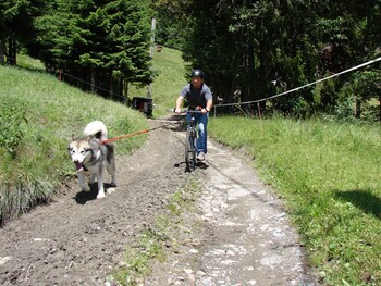 residence hotel rent