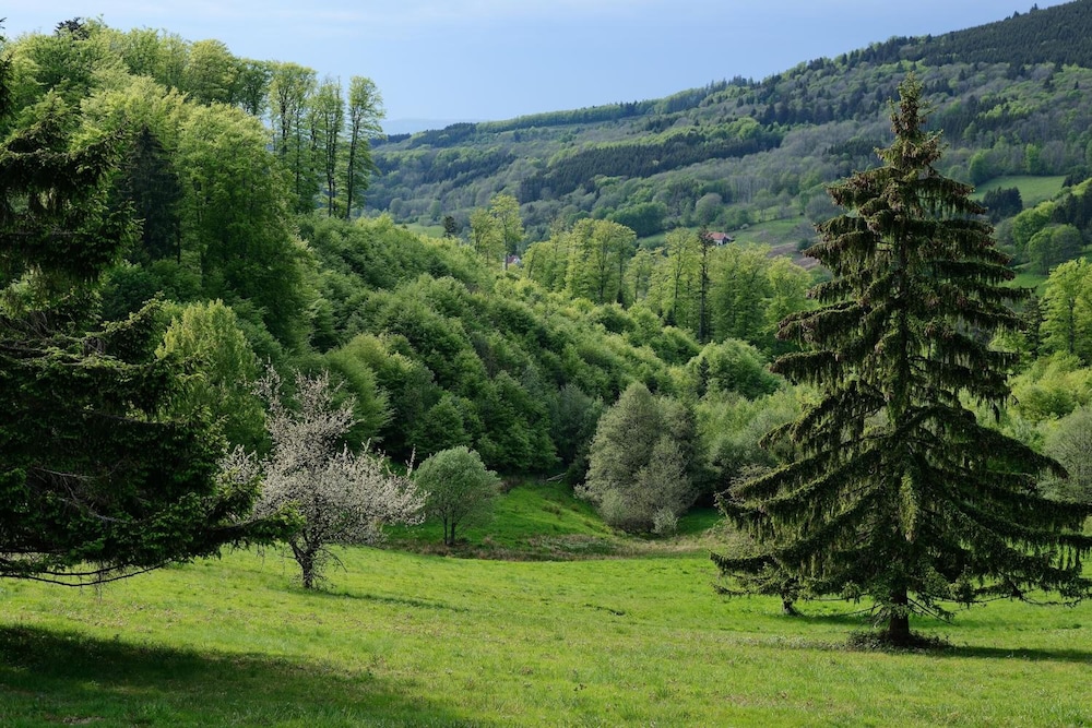vvf les fontaines des vosges saales