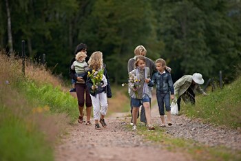 vvf les fontaines des vosges saales