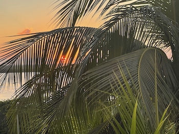 ocean view apartments delicia