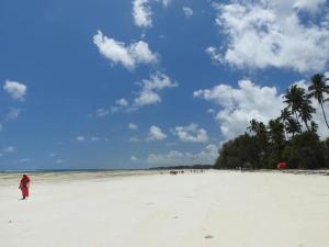 kiwengwa bungalow boutique resort