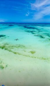 kiwengwa bungalow boutique resort