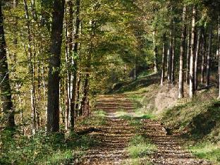 bandb les trois voisins