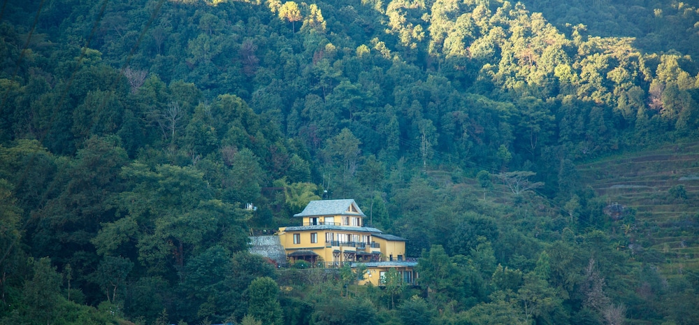 the lapsi tree resort