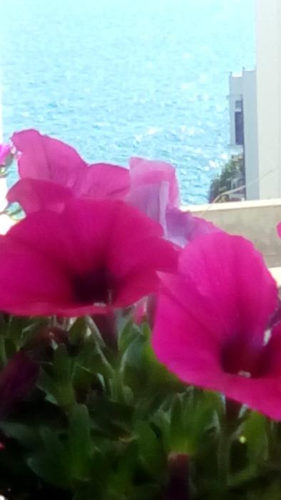 bed and breakfast tra le mura