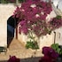 masseria morrone