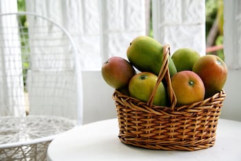 millsborough guest apartments