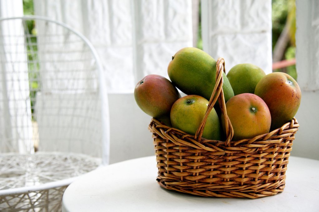 millsborough guest apartments