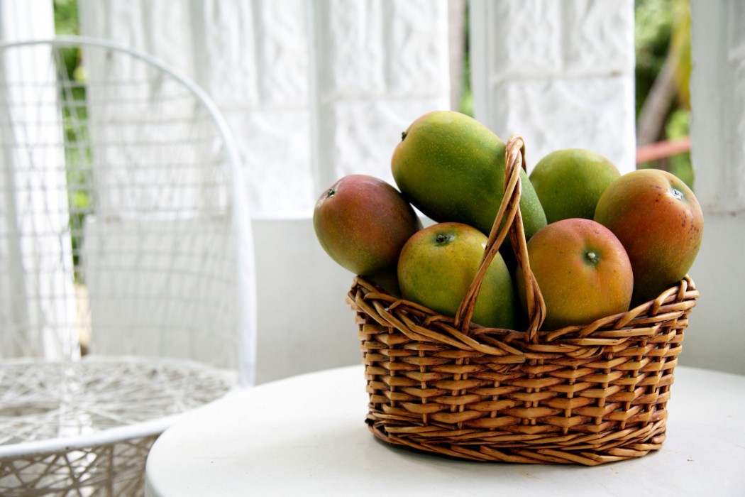 millsborough guest apartments