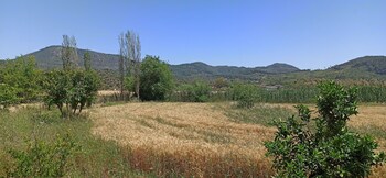 dalaman airport guesthouse