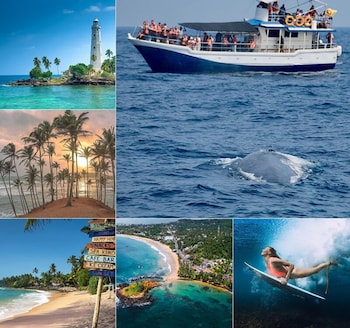 Lotus Grand Rest,Thalaramba>>Mirissa,3 star