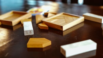 renea cruises halong