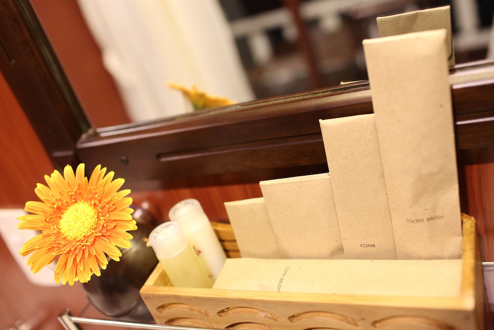 renea cruises halong