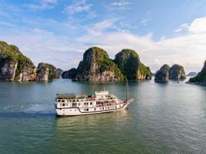 renea cruises halong