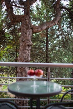 anastazia luxury suites and rooms