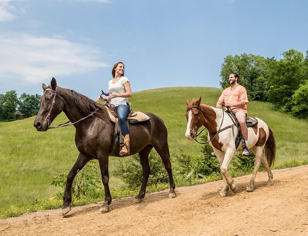 a time to remember one bedroom cabin