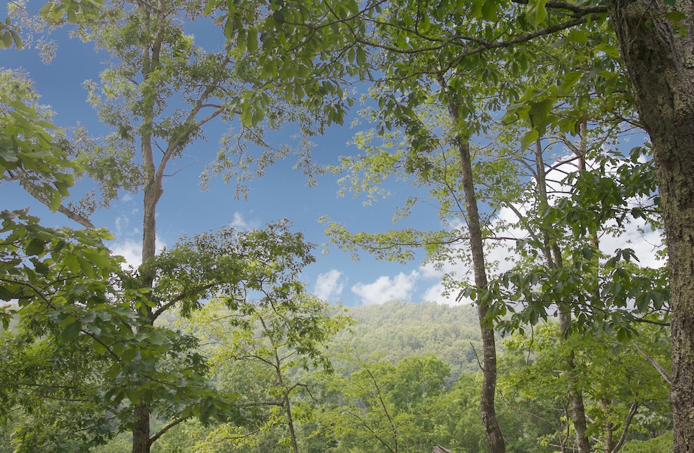 a time to remember one bedroom cabin