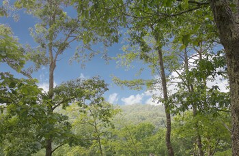 a time to remember one bedroom cabin
