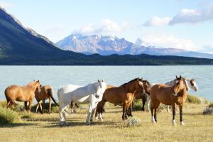 estancia helsingfors
