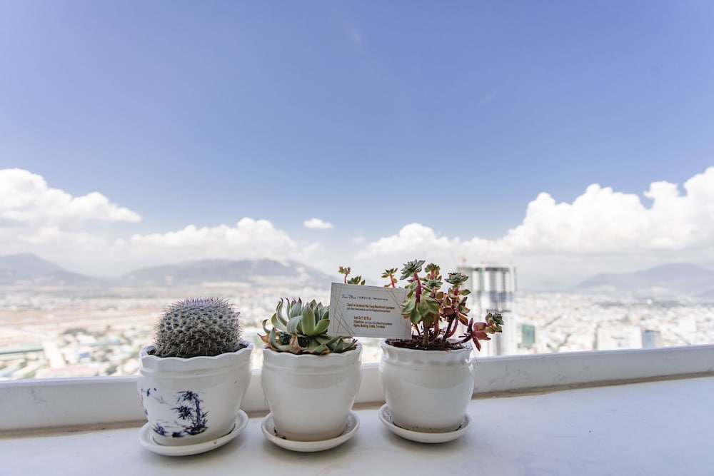 beach front apartment