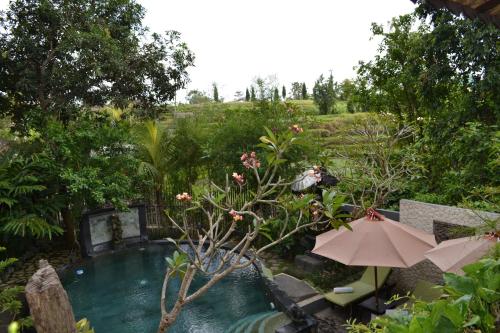 kts balinese villas